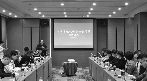 湖北版協(xié):推出更多金點子 助力版權(quán)強省建設(shè)