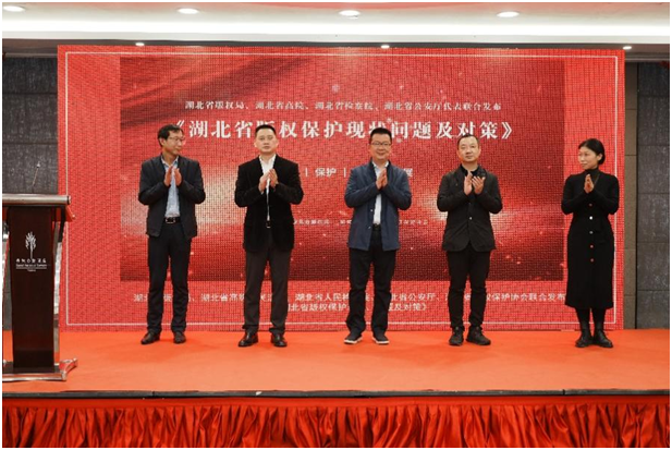 湖北省版權保護現狀、問題及對策報告發(fā)布