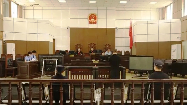 最高檢發(fā)布依法懲治侵犯著作權(quán)犯罪典型案例