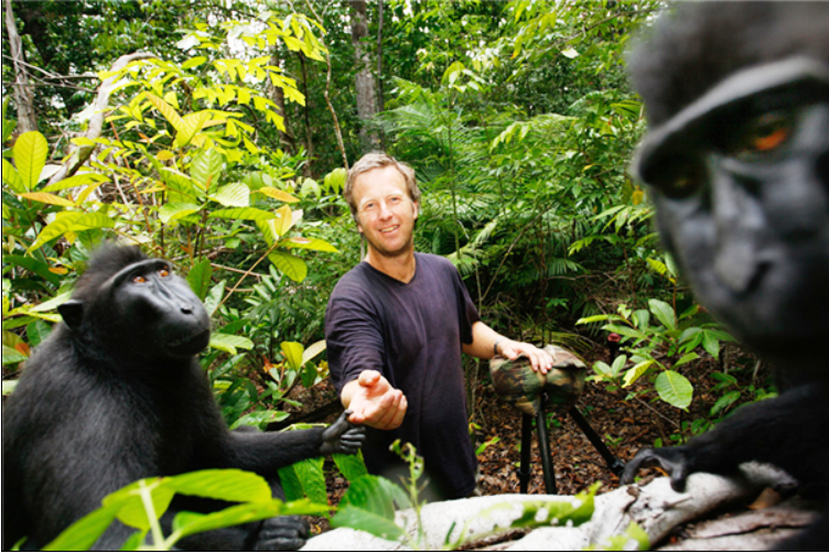 為了一張猴子自拍照的版權:攝影師打官司7年 慘遭破產(chǎn)