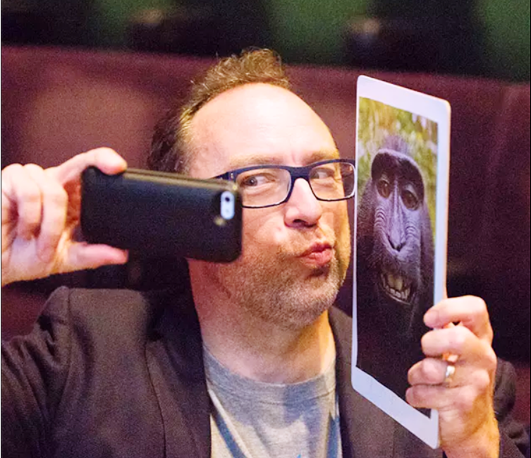 為了一張猴子自拍照的版權:攝影師打官司7年 慘遭破產(chǎn)