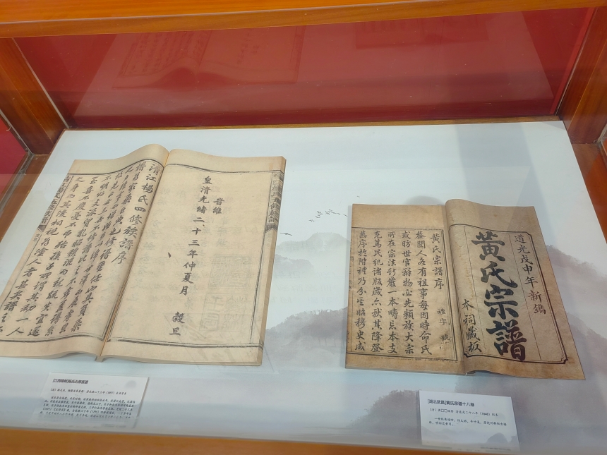 湖北第十五屆曬譜活動展示多省珍貴家譜文獻(xiàn)