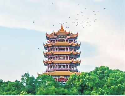 攝影作品未經(jīng)授權(quán)被擅用 市民為7年前的照片申領(lǐng)到版權(quán)證