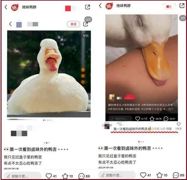 絕味鴨脖擅用寵物鴨照片宣傳鴨舌 律師:侵權(quán)