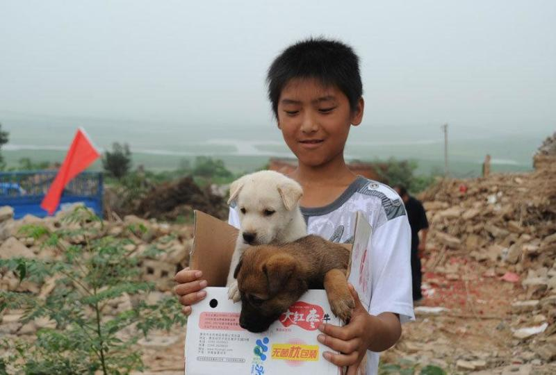 建設(shè)版權(quán)登記服務(wù)站助力縣域經(jīng)濟(jì)高質(zhì)量發(fā)展