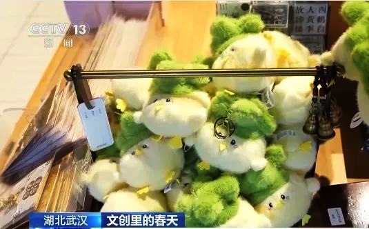 全國(guó)媒體關(guān)注:武漢