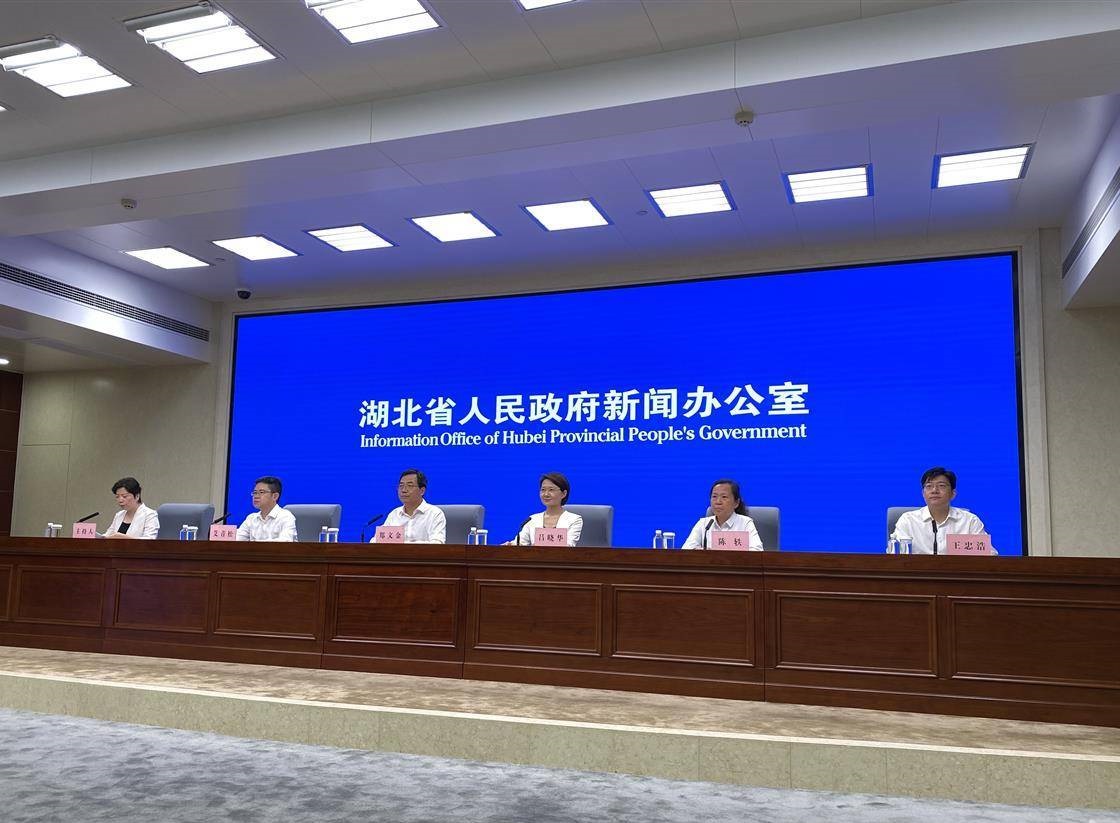 今年底湖北數(shù)據(jù)匯聚總量力爭突破1000億條