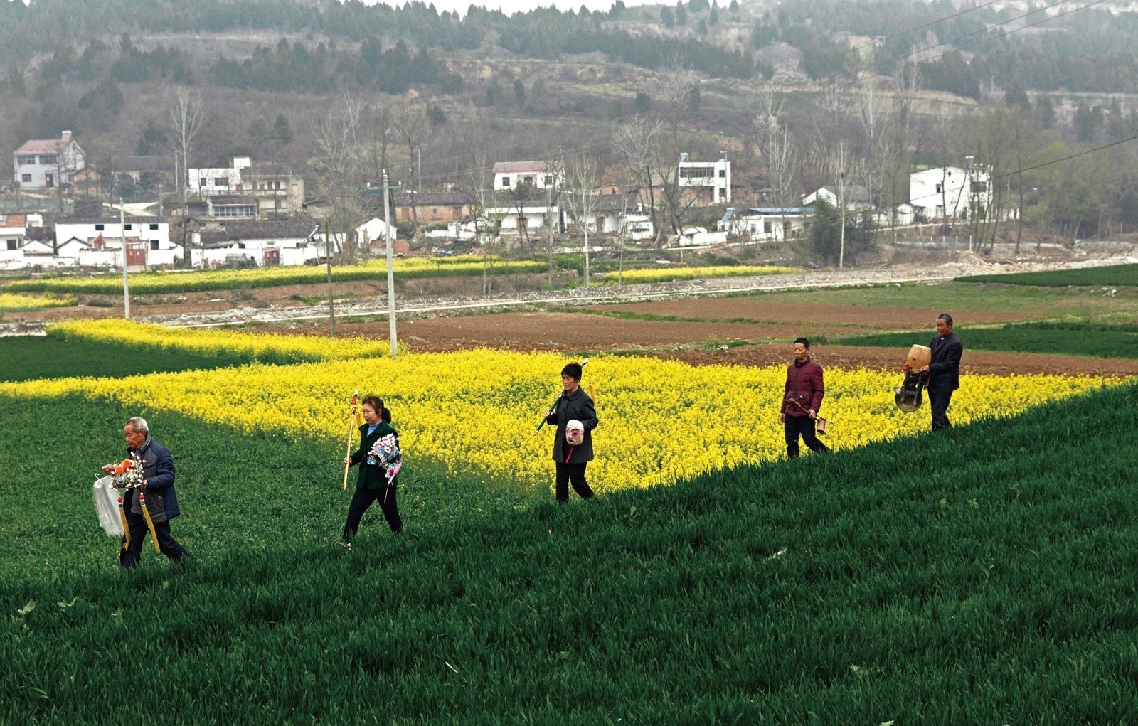 劉光華版權(quán)攝影作品展示