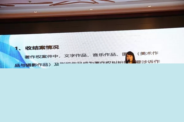 北京海淀法院知識(shí)產(chǎn)權(quán)庭法官王棲鸞做主題發(fā)言