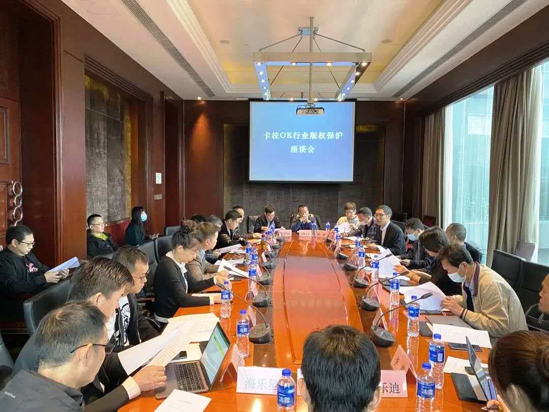 音集協(xié)在武漢舉辦卡拉OK行業(yè)版權(quán)保護(hù)座談會(huì)