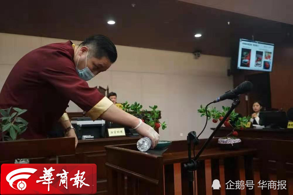 網(wǎng)紅餐廳因